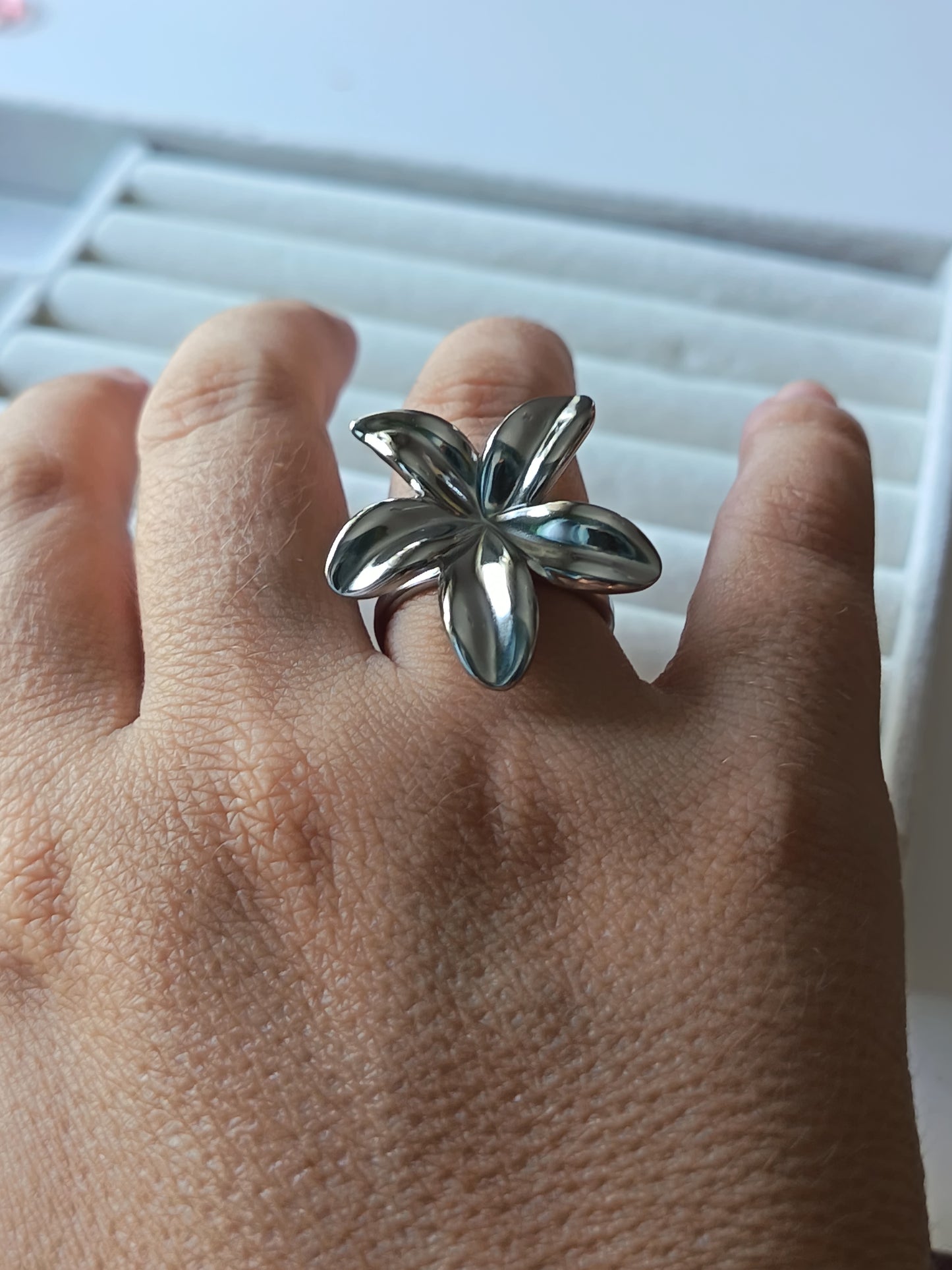 Anillos