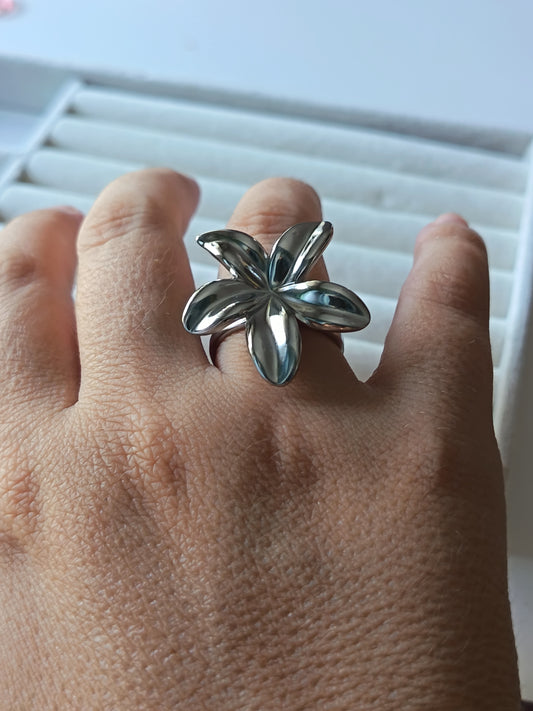 Anillos
